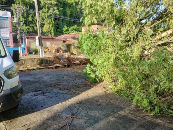 Foto: Denilson Guimarães